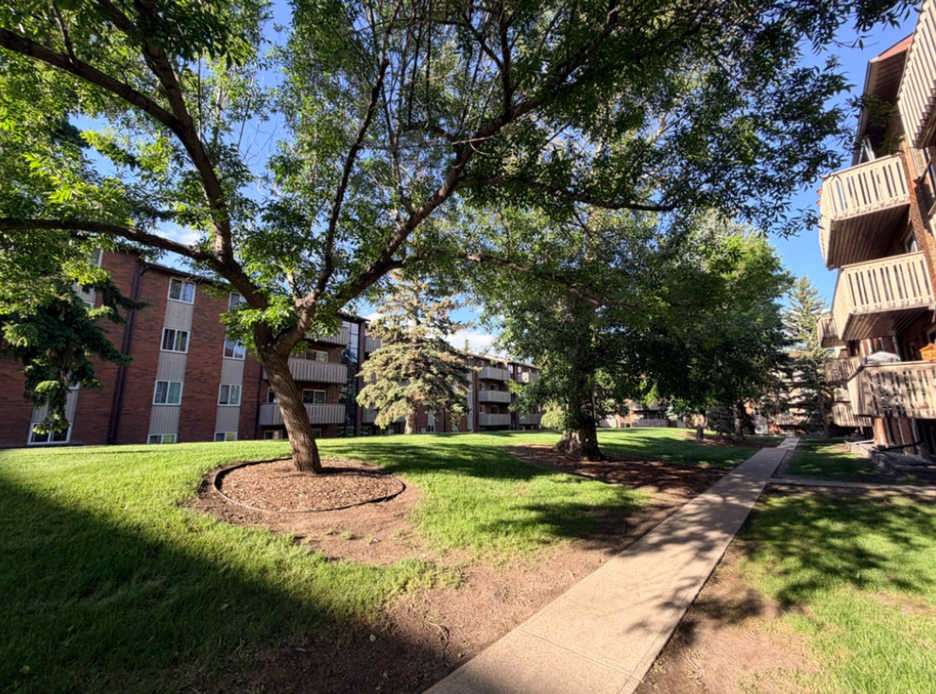 2 Beds 1 Bath Apartment in Anderson Place