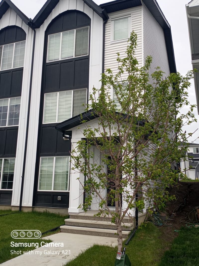 462 Carringvue Grove, NW Calgary, 3+BD FLEXIBLE LEASE OPTIONS AVAIL SEPT 1